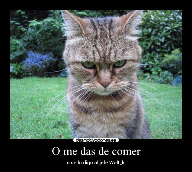 O me das de comer - 