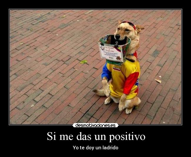 Si me das un positivo - 