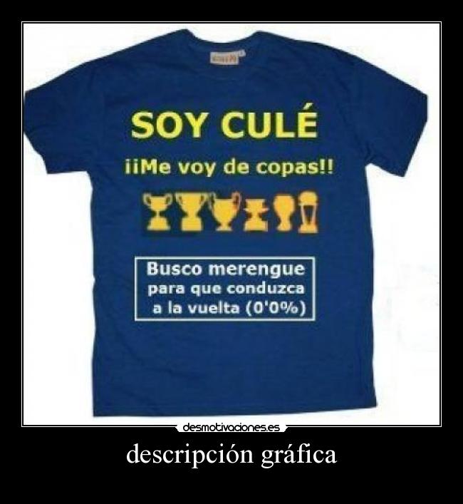 descripción gráfica - 