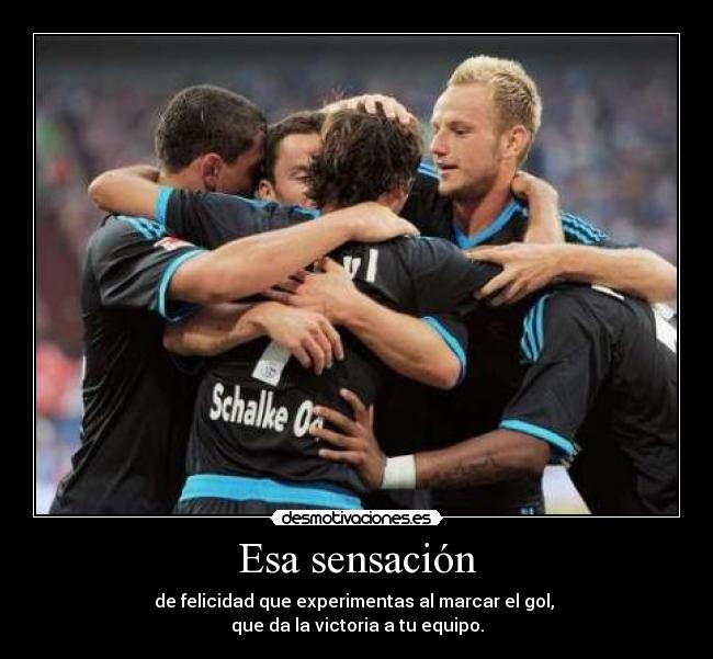 carteles equipo gol celebracion celebrando felicidad desmotivaciones