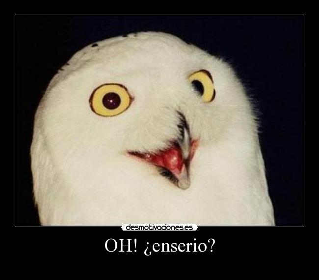 OH! ¿enserio? - 