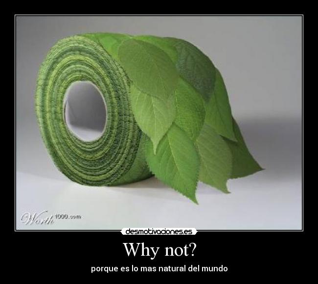 Why not? - porque es lo mas natural del mundo