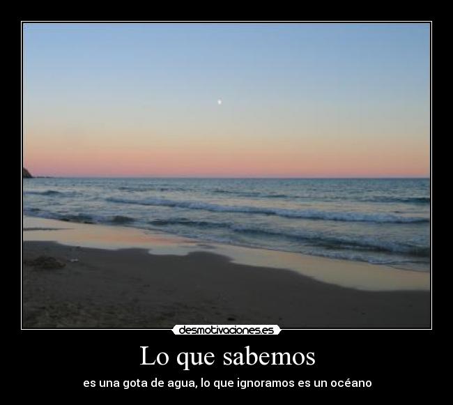 Lo que sabemos - 