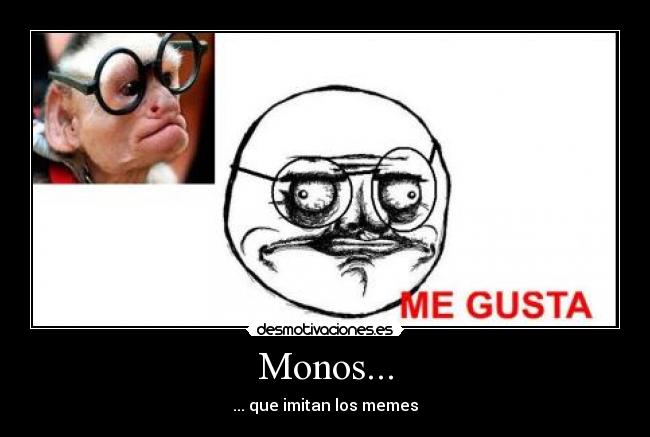 Monos... - ... que imitan los memes