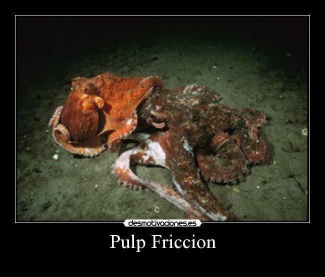 carteles estan haciendo que parece desmotivaciones