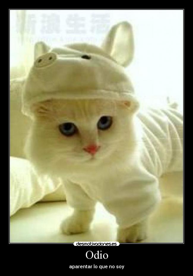 Odio -