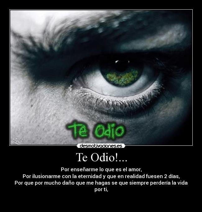 Te Odio!... -