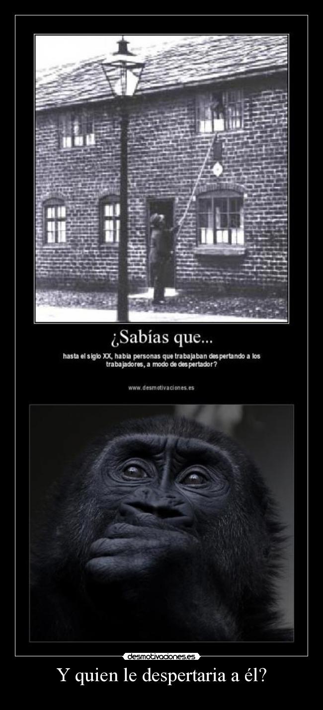 Y quien le despertaria a él? - 