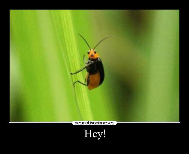 Hey! -