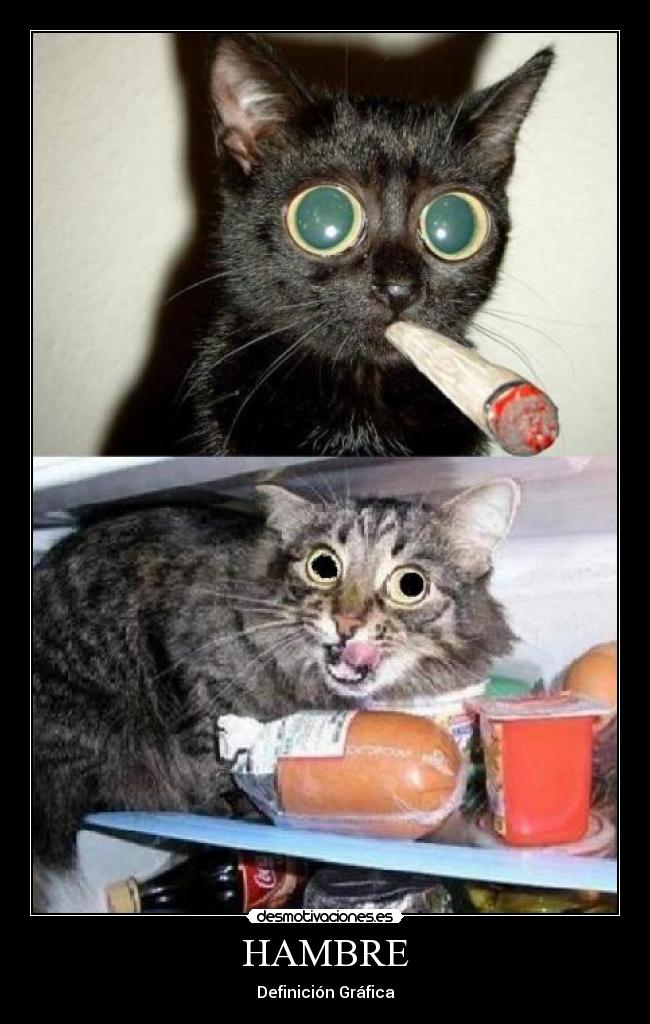 HAMBRE -