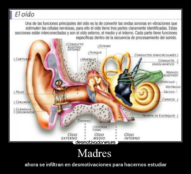 Madres -
