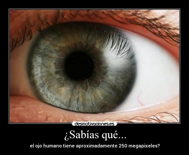 ¿Sabías qué... -