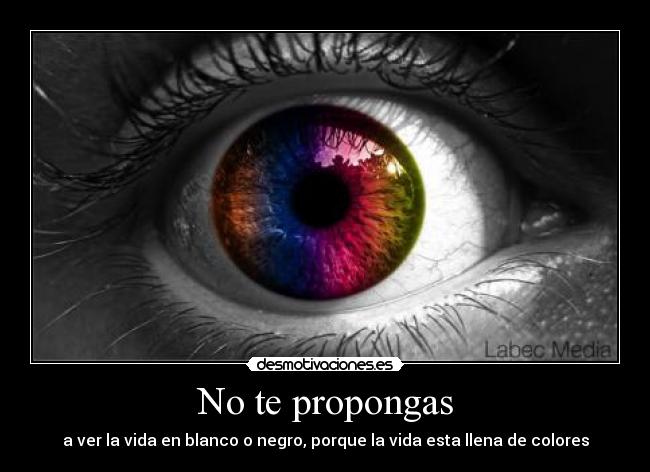 No te propongas - a ver la vida en blanco o negro, porque la vida esta llena de colores