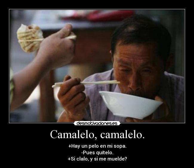 Camalelo, camalelo. -