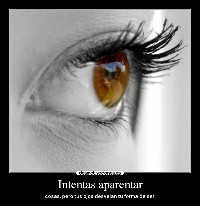 carteles lamotivacioneslomejor desmotivaciones