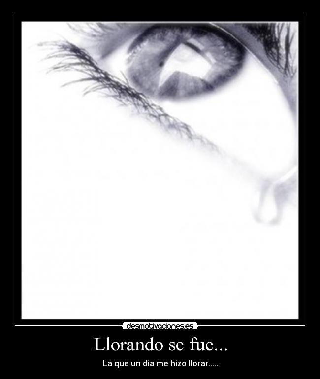 carteles llorando fue desmotivaciones