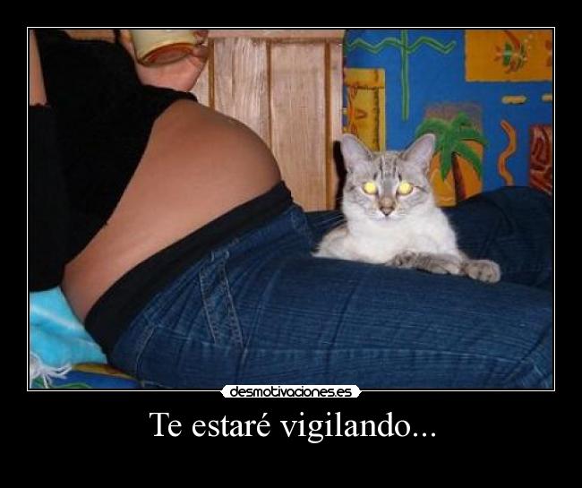 Te estaré vigilando... -