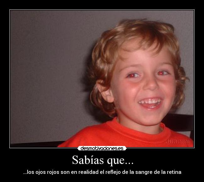 carteles ojos rojos desmotivaciones