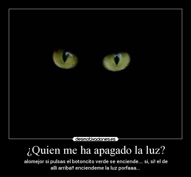 carteles luz gato desmotivaciones