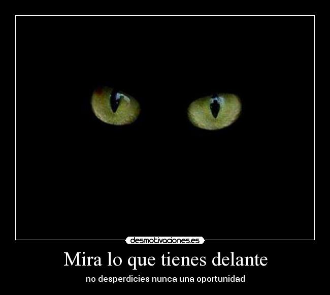 Mira lo que tienes delante - 