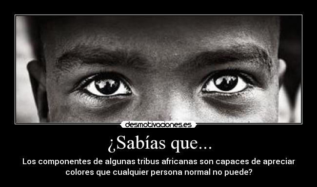¿Sabías que... - Los componentes de algunas tribus africanas son capaces de apreciar
colores que cualquier persona normal no puede?