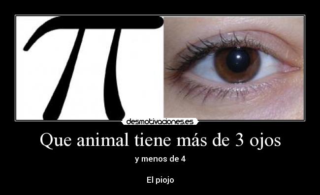 Que animal tiene más de 3 ojos -
