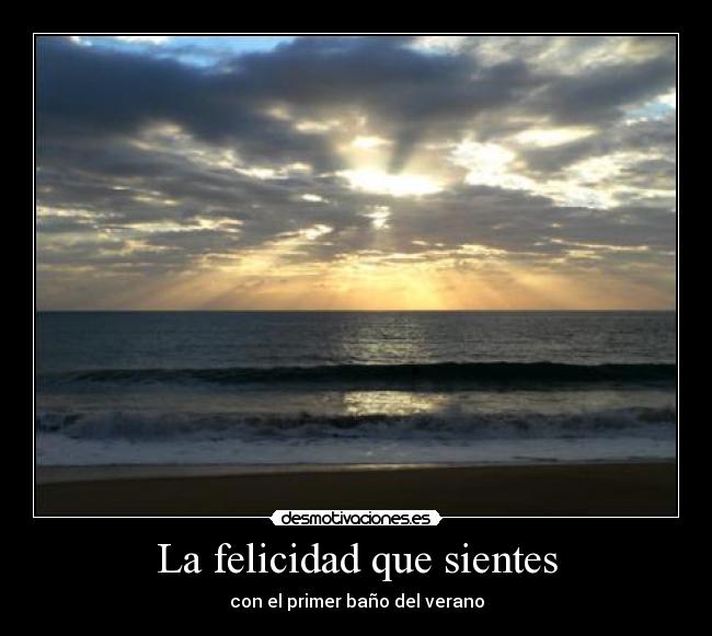 La felicidad que sientes - 