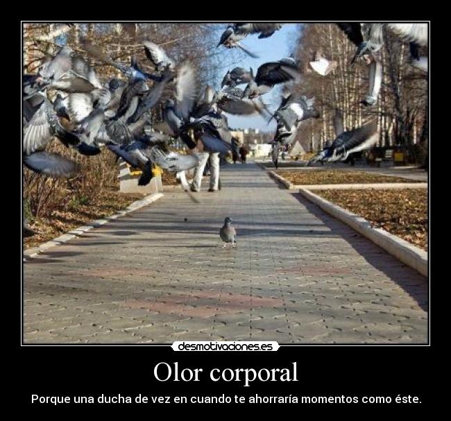 Olor corporal -
