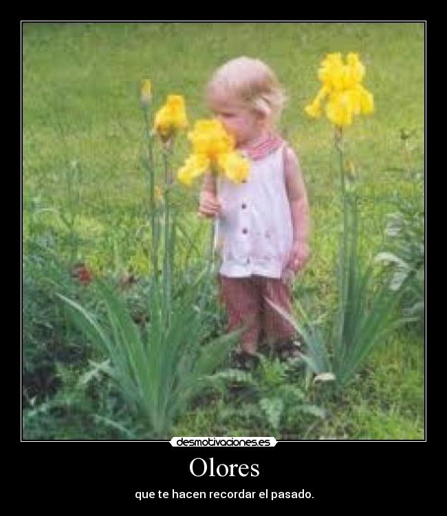 Olores - 