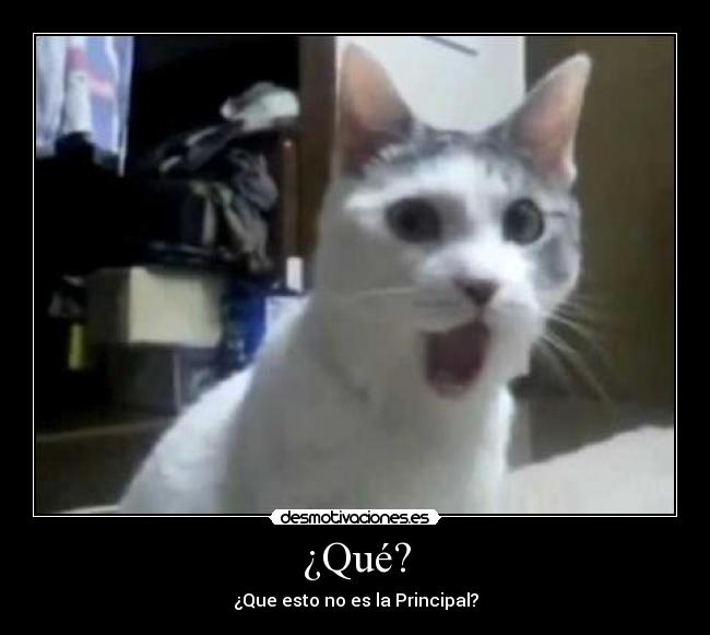 carteles gato desmotivaciones