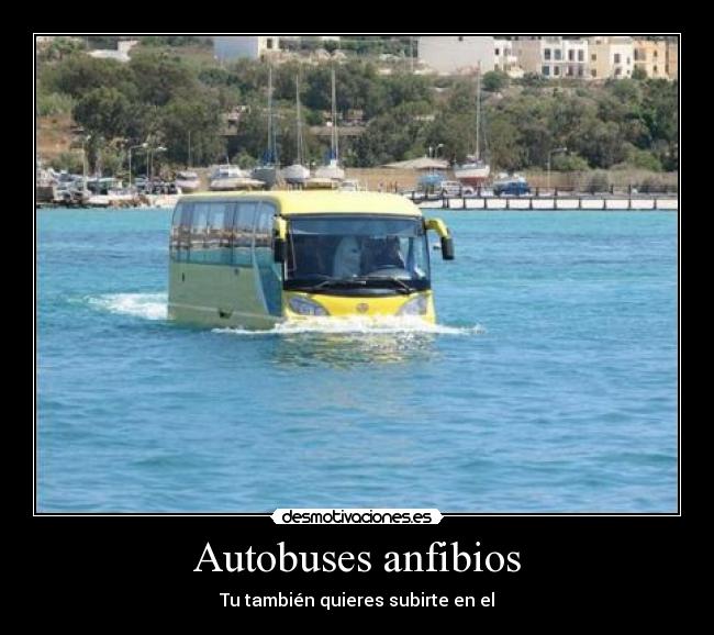 Autobuses anfibios - Tu también quieres subirte en el