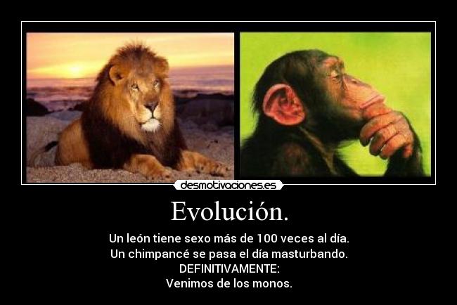 Evolución. -