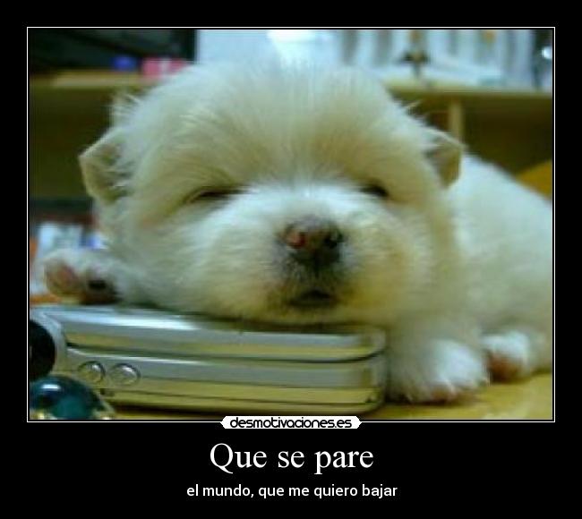 Que se pare -