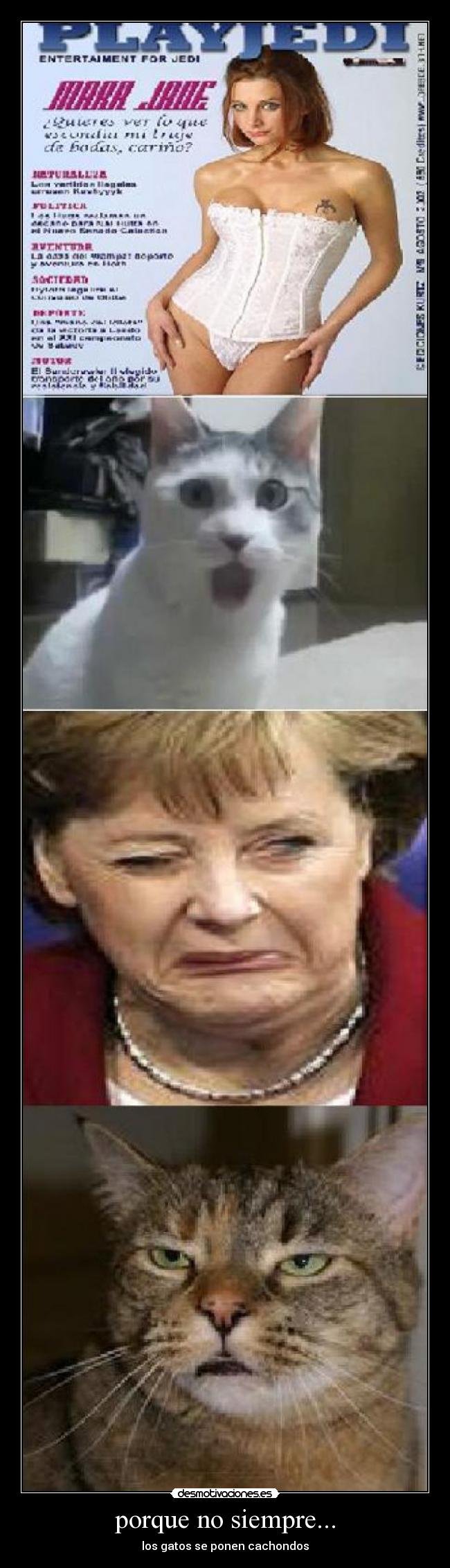 porque no siempre... -