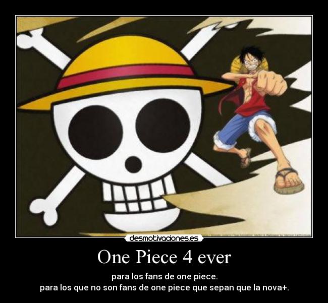 One Piece 4 ever -