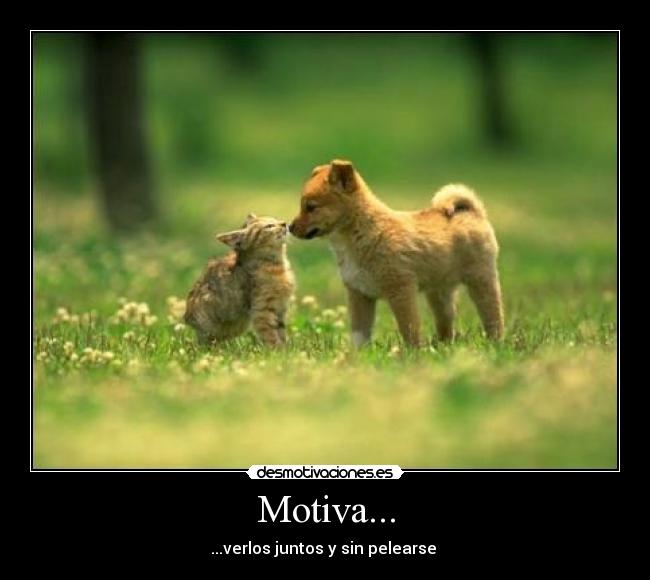 Motiva... -
