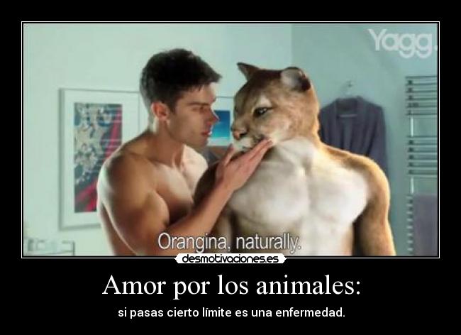 Amor por los animales: - 