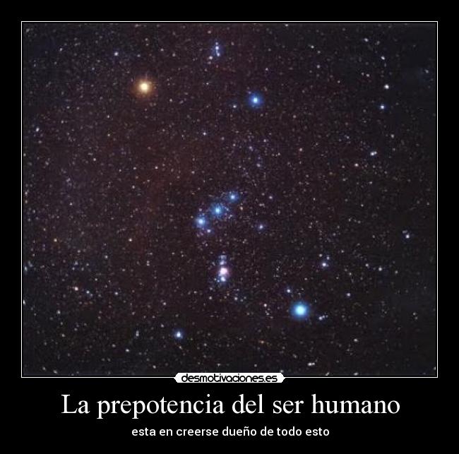 La prepotencia del ser humano -