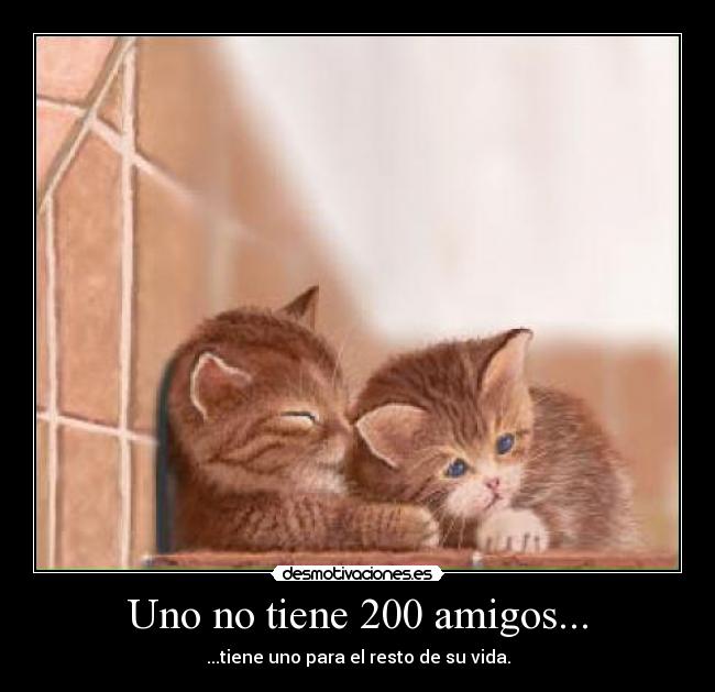 Uno no tiene 200 amigos... - ...tiene uno para el resto de su vida.