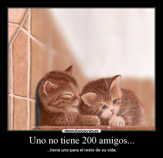 Uno no tiene 200 amigos... - 