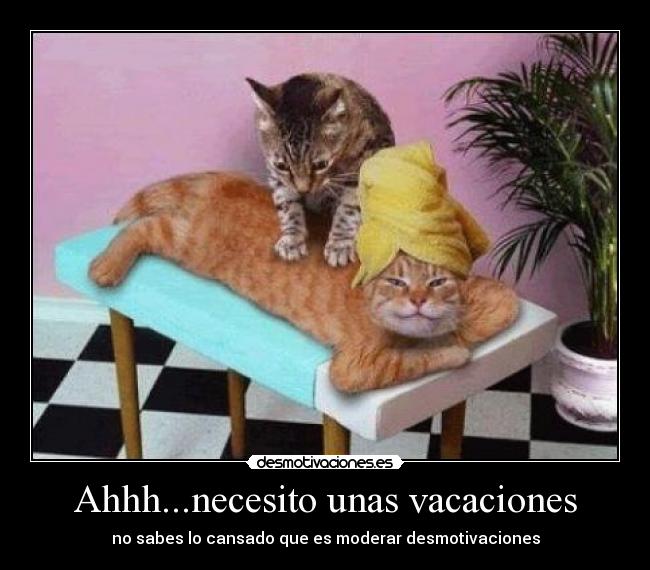 carteles desmotivaciones gatos relax desmotivaciones