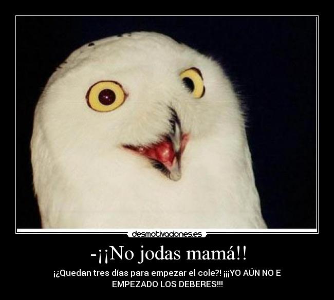 -¡¡No jodas mamá!! - 