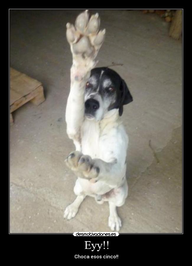 Eyy!! - Choca esos cinco!!