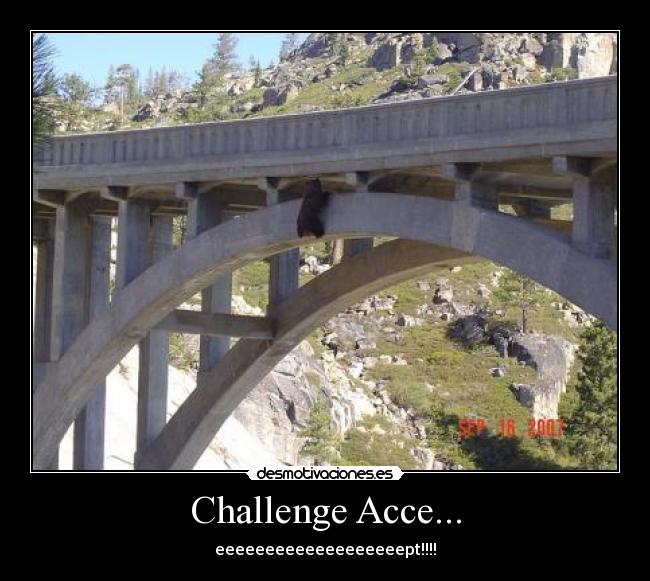 Challenge Acce... - 