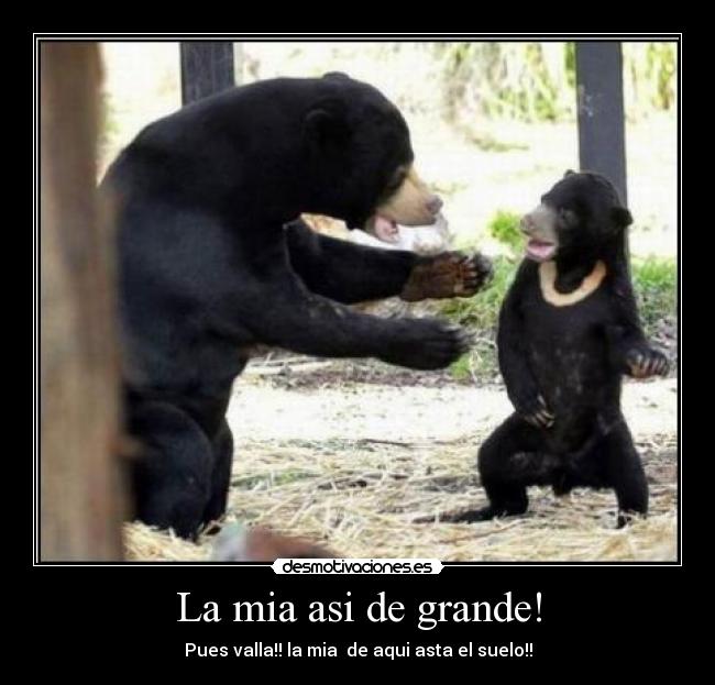 La mia asi de grande! -