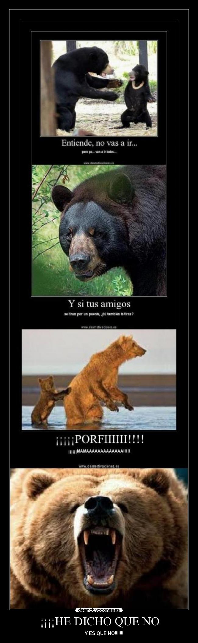 ¡¡¡¡HE DICHO QUE NO - Y ES QUE NO!!!!!!!!