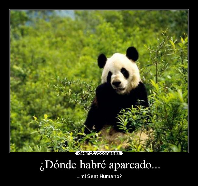 carteles panda desmotivaciones