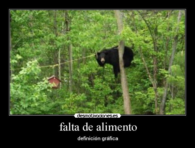 falta de alimento - 