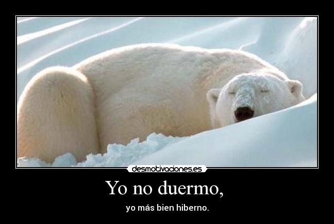 Yo no duermo,  - yo más bien hiberno.
