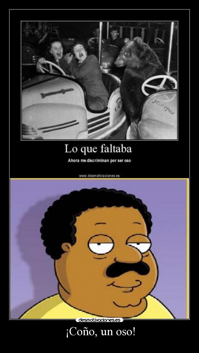 ¡Coño, un oso! -